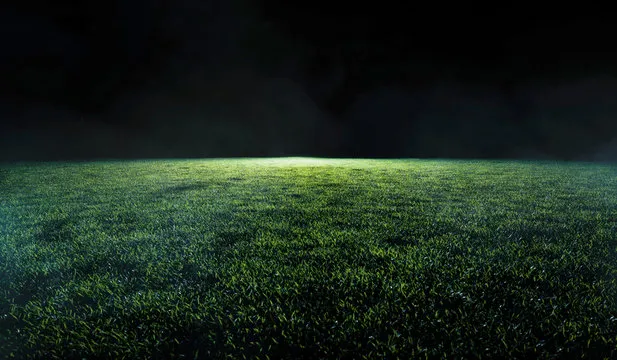 开云app客服与支持